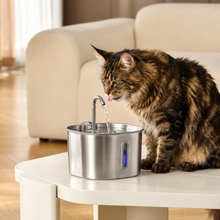 The KittySpout™ - 2.2L Fountain