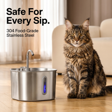 The KittySpout™ - 2.2L Fountain