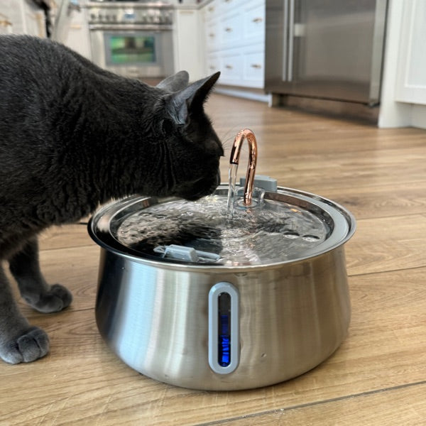 Customer photo — cat drinking from the KittySpouts fountain