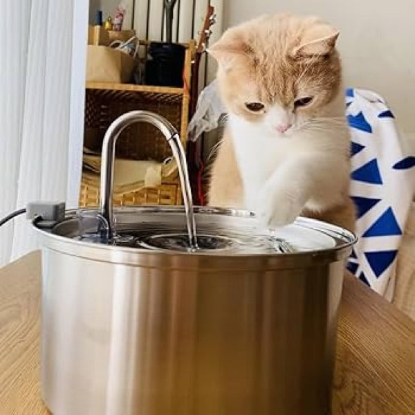Customer photo — cat beside the stainless fountain at home